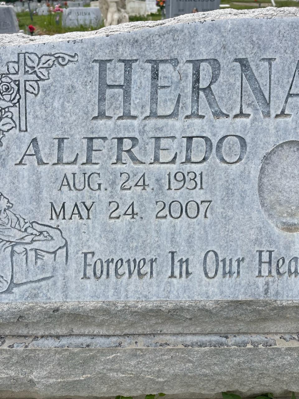 Alfredo font ID